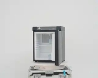Réfrigérateur à gaz autonome 40L AC 110V/220V DC12V/24V Petit réfrigérateur à gaz