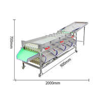 Automatische Sorteermachine Voor Fruit En Groente Sorteermachine Aardappelsorteermachine Fruitdata Sorteermachine