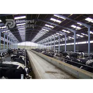 steel frame construction building materials prefabricated cattle shed pole building