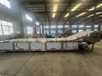 Hoge Efficiëntie 304 RVS Frites- en Aardappelchips Blancheringsmachine voor Fruit & Groenten Prijs
