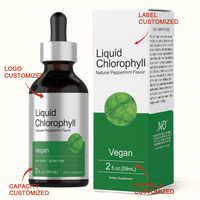 Gouttes de chlorophylle liquide naturelle pure à la menthe pour une fraîcheur interne quotidienne et un soutien de l'équilibre corporel, 59 ml, flacon ambré
