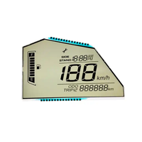 Fabrikneues kundenspezifisches Segment-LCD-Display, hochwertiges Form-Display, fahrzeugmontiertes LCD-Display, Motorrad-LCD-Modul