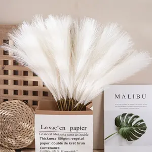 Fleur artificielle en gros, <span class=keywords><strong>fausse</strong></span> <span class=keywords><strong>herbe</strong></span> <span class=keywords><strong>de</strong></span> <span class=keywords><strong>la</strong></span> <span class=keywords><strong>pampa</strong></span>, 56 cm <span class=keywords><strong>de</strong></span> longueur, style INS, pour décoration intérieure et mariage - Product Image 2