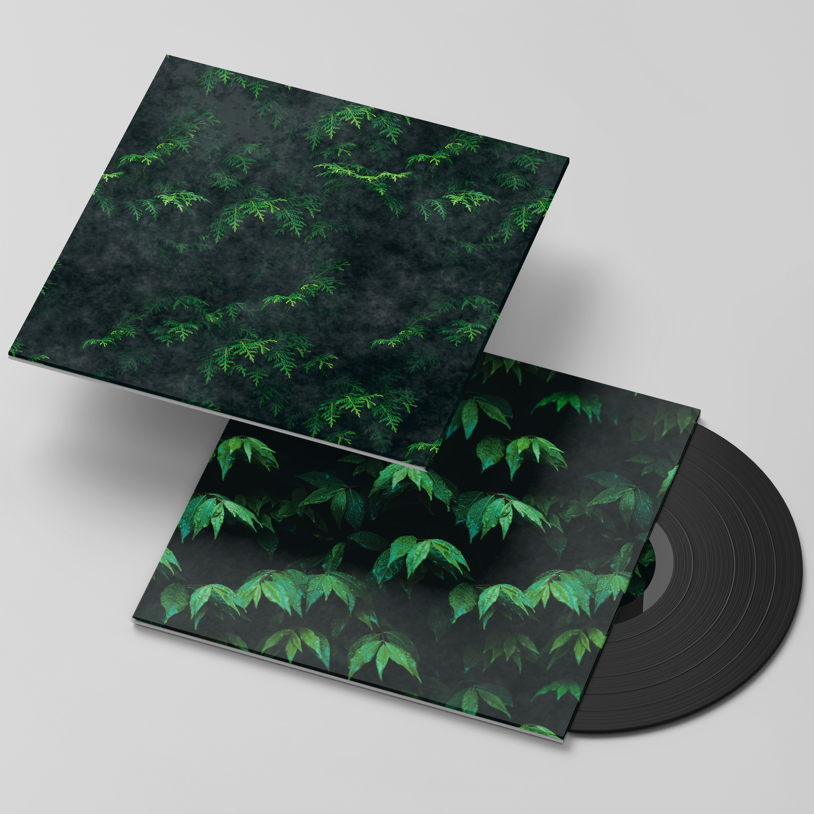 OEM Vinyl Record Music Customized Disk Replication & Printing