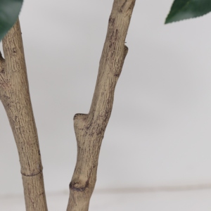 Camélia en plastique, plante artificielle en <span class=keywords><strong>pot</strong></span>, <span class=keywords><strong>pour</strong></span> l'intérieur et l'extérieur, <span class=keywords><strong>pour</strong></span> la décoration de bureau, de jardin, de maison, faux arbres, plantes artificielles - Product Image 4