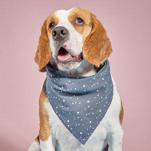 בנדנה משולשת לכלבים מבד כותנה אקולוגי עם הדפס כחול ולוגו מותאם אישית של GMTPET לכל עונות השנה - Product Image 1