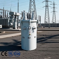 Transformador de Potencia Monofásico de Tipo Aceite, Montado en Poste, de 75KVA, 100KVA, 250KVA, 11KV/0.220V, 50Hz/60Hz, Ahorro de Energía, Precio de Fábrica D11