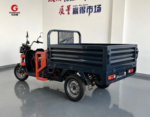Triciclo Elettrico da Carico con Autonomia di 70km, Nuovo Triciclo Elettrico a 3 Ruote ad Alta Capacità per Distribuzione Merci in Zone Rurali - Product Image 6