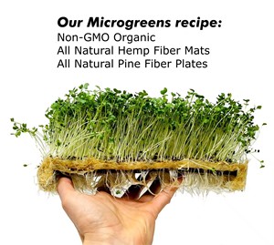 Jardinage d'intérieur vraiment <span class=keywords><strong>pour</strong></span> tout le monde Kit de culture Microgreens er Kit de culture Microgreens avec pot d'eau auto - Product Image 2