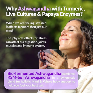 Ashwagandha de alta calidad, cultivos vivos fermentados de alta resistencia, suplemento de extracto de papaya, bebidas líquidas de Ashwagandha para adultos - Product Image 4