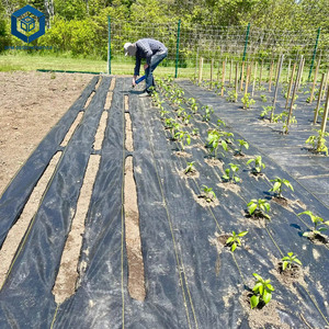 Sợi polyester 600g vải địa kỹ thuật không dệt hiệu suất cao cho kỹ thuật dân dụng - Product Image 2