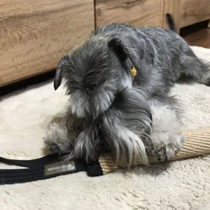 Köpek eğitim çevre dostu pamuk çiğnemek ve römorkör oyuncak dayanıklı uzun ömürlü diş üzerinde nazik moda eğitim artırır - Product Image 4