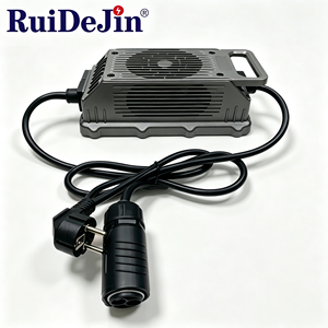 Chargeur intelligent industriel à haute efficacité de conversion, unité de charge avec protection de sécurité multi-niveaux, approvisionnement en gros pour les distributeurs - Product Image 3