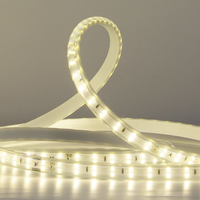Bande lumineuse LED à trois rangées AC 110V 220V 180 LED/m SMD 2835 Super lumineuse 12mm PCB Haute puissance Bande extérieure