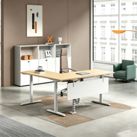Bureau de jeu électrique réglable en hauteur, table de bureau pour ordinateur, table réglable pour salle de jeu ou chambre à coucher