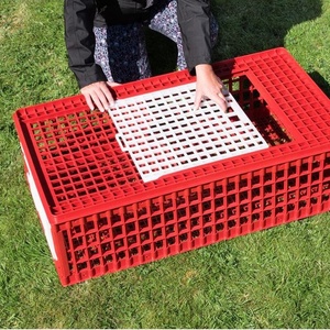 Bán Buôn Vận Chuyển Lồng Công Suất Lớn Gia Cầm Lồng Gà Coop Hình Chữ Nhật Gà - Product Image 4