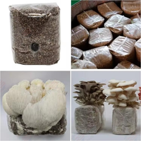 Équipement de production de champignons, machine d'emballage et de scellage de sacs de substrat pour champignons
