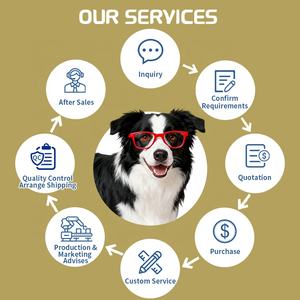 Gouttes multivitaminées pour animaux de compagnie, chiens, fonction rénale, soutien immunitaire, chiens, chats, liquide, saveur personnalisée, fabrication OEM ODM - Product Image 3