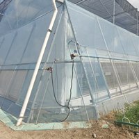 Serre en acier galvanisé à plusieurs travées avec film plastique PE pour la culture de tomates, concombres, poivrons et légumes