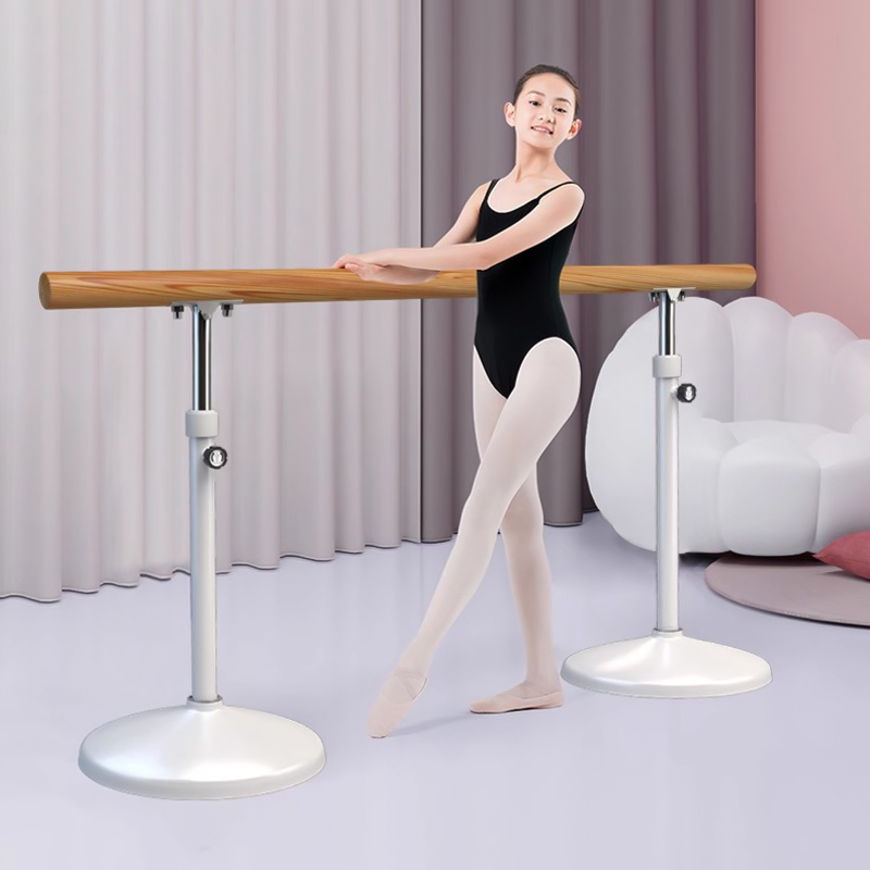 Barre De Ballet Portable Double, Barre De Ballet Autoportante Réglable, Robuste Pour La Danse à La Maison Ou En Studio, Barre De Ballet De Fitness Pour Enfants Et Adultes