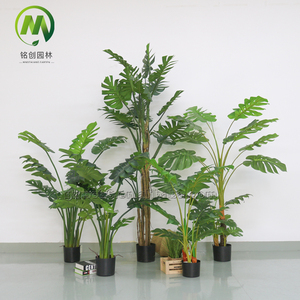 Planta Artificial de Hoja de Tortuga, Altamente Realista, Ecológica, de Plástico, para Interiores/Exteriores, en Maceta, Precio de Fábrica - Product Image 1