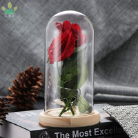 Lampe à rose en soie verte enchantée avec dôme en verre, design feuilles vertes écologiques, cadeau romantique pour les célébrations