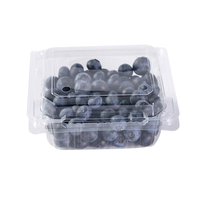 Groothandel rechthoekige transparante plastic PET-container met scharnierend deksel voor fruitverpakkingen
