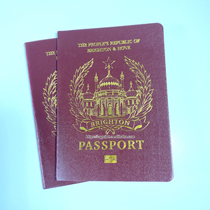 Libro de pasaporte impreso personalizado Cuero de corcho materia prima Impresión de pasaporte - Product Image 1