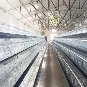 Poultry farm equipment 3/4 layers A type egg laying hen layer chicken cage