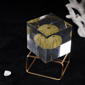 Diorama de resina oceánica Mini cubo del <span class=keywords><strong>mundo</strong></span> submarino para Navidad festiva Acción de Gracias Año Nuevo chino Día de San Valentín Día de la madre - Product Image 5