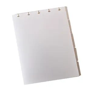 2024 4x6 5x7 6x8 Fosco PP Divisor Página 5 Side Tab Frosted PP Divisores para Disco Album dinheiro