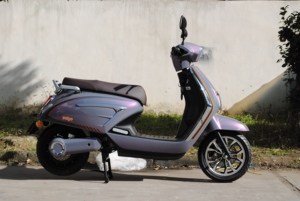 EEC Bán Chạy Nhất Thiết Kế Mới Xe Đạp Điện Cho Người Lớn Trong 2025 Thích Hợp Cho Nam Giới Và Phụ Nữ - Product Image 5