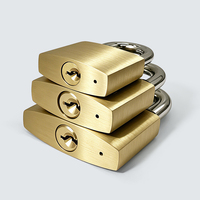 Cadenas en laiton haute sécurité, cylindre en laiton, double levier de verrouillage, étanche IP65, 3 clés en laiton, écologique, durable, pour portail