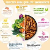 Antibiotiques liquides pour animaux de compagnie, soins aux antibiotiques naturels pour chiens et chats, soulagement des allergies et des démangeaisons, soutien immunitaire, haute teneur en protéines