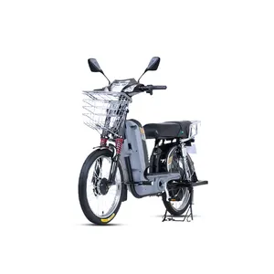 Chất Béo Lốp E-bike Động Cơ Giao Hàng Bik E Xe Đạp Xe Đạp Điện