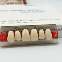 Dents en résine acrylique prothèse dentaire à deux couches dents antérieures