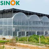 Serre agricole hydroponique multi-chapelles économique Sinok, système complet pour concombres, structure galvanisée à chaud