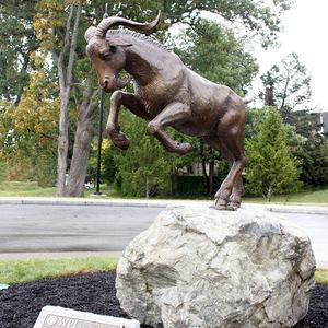 Sculpture de chèvre de montagne en bronze coulé grandeur nature - Product Image 4