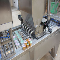 Machine de remplissage et de scellage automatique de céréales d'avoine et de poudre de lait - Solution d'emballage à commande servo
