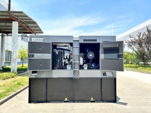 Generador Industrial Silencioso de 30kva 35 Kw 40kw 80kva 350kva 500kva 650kva 200kva 250kva 250kw con Motor - Product Image 5