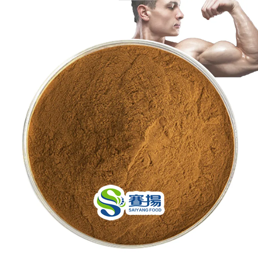 Wholesale Ajuga Turkestanica Root Extract Standardized 1% 2% 10% Pure Turkesterone Extract CAS 41451-87-0 Turkesterone Powder