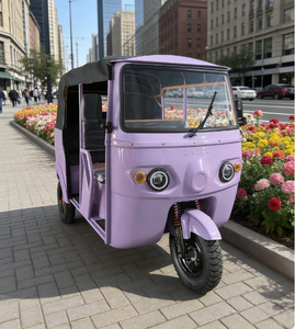 Vente directe d'usine chinoise, <span class=keywords><strong>meilleur</strong></span> prix, tricycle électrique, E-Trike, deux rangées - Product Image 4