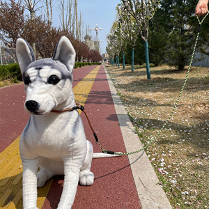 Guinzaglio per Cani in Corda Intrecciata Personalizzato in Nylon, Rinforzato con Cuciture, per Passeggiate Quotidiane, Servizio di Personalizzazione Logo Disponibile - Product Image 4