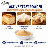 Levain sec actif à faible humidité avec une forte teneur en cellules vivantes, levainement fiable pour les produits de boulangerie fermentés