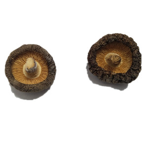 Mất Nước <span class=keywords><strong>Shiitake</strong></span> Nấm Chế Biến AD Khô Champignon Chất Lượng Tốt Nhất - Product Image 6
