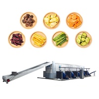 Ondersteuning voor maatwerk: machine voor het drogen van champignons, noedelsdroger met gaasband, machine voor het drogen van kardemom/tomaat/rode dadels, fruitdroogmachine