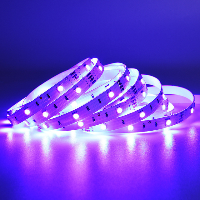 Smart Led Strip Light Custom Style Promotional Oem Flexible Neon Smart Led Strip Light