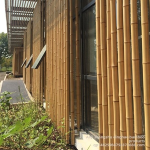 Varas <span class=keywords><strong>de</strong></span> Bambú Natural Decorativas Anticorrosivas para Renovación <span class=keywords><strong>de</strong></span> Parques, Casas <span class=keywords><strong>de</strong></span> Huéspedes y Jardines - Venta al por Mayor - Product Image 2