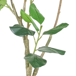 Top qualité 200cm Oh Arts arbre artificiel pour extérieur Ficus arbre Ficus <span class=keywords><strong>Audrey</strong></span> arbre pour la maison <span class=keywords><strong>h</strong></span>ôtel magasin décoration - Product Image 4