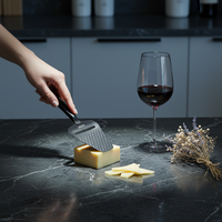 Trancheuse à fromage portable JunQin durable et écologique, en acier inoxydable avec revêtement en titane, compatible lave-vaisselle et alimentaire